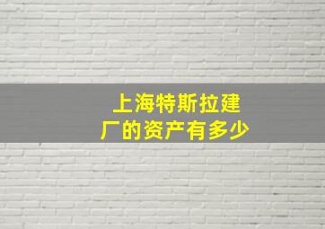 上海特斯拉建厂的资产有多少