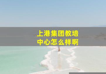 上港集团教培中心怎么样啊