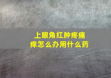 上眼角红肿疼痛痒怎么办用什么药