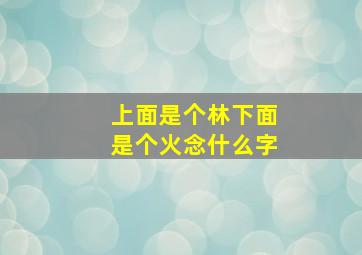 上面是个林下面是个火念什么字