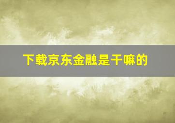 下载京东金融是干嘛的