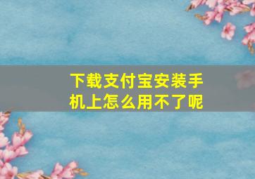 下载支付宝安装手机上怎么用不了呢