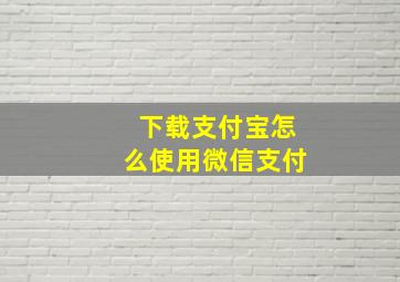 下载支付宝怎么使用微信支付