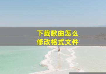 下载歌曲怎么修改格式文件