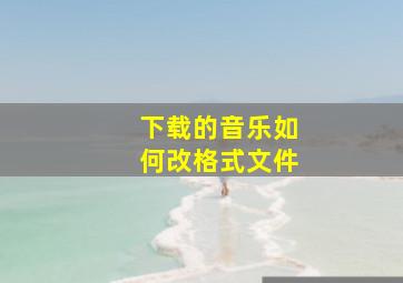 下载的音乐如何改格式文件