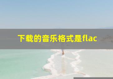 下载的音乐格式是flac