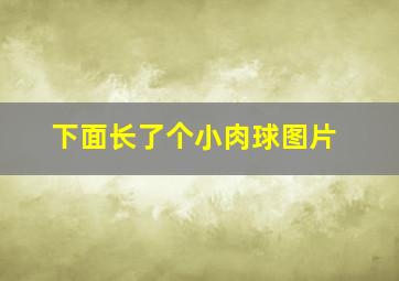 下面长了个小肉球图片