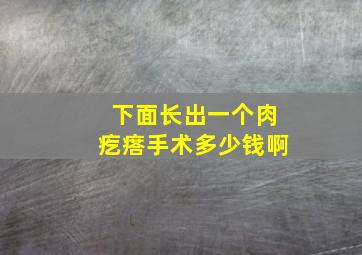 下面长出一个肉疙瘩手术多少钱啊