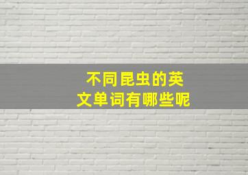 不同昆虫的英文单词有哪些呢