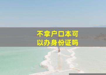 不拿户口本可以办身份证吗