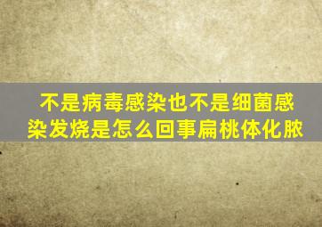 不是病毒感染也不是细菌感染发烧是怎么回事扁桃体化脓