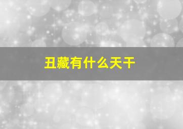 丑藏有什么天干