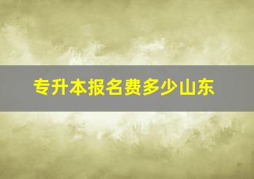 专升本报名费多少山东