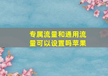 专属流量和通用流量可以设置吗苹果