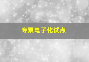 专票电子化试点