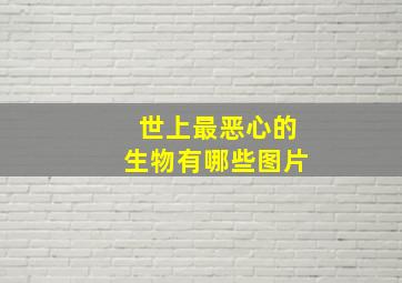 世上最恶心的生物有哪些图片