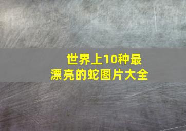 世界上10种最漂亮的蛇图片大全