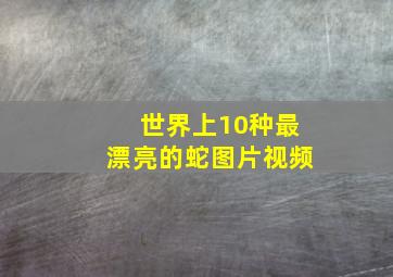 世界上10种最漂亮的蛇图片视频