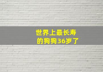 世界上最长寿的狗狗36岁了