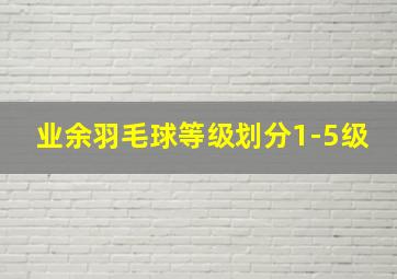 业余羽毛球等级划分1-5级