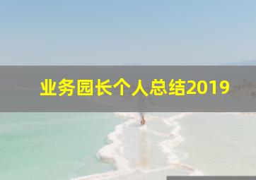 业务园长个人总结2019