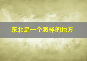 东北是一个怎样的地方