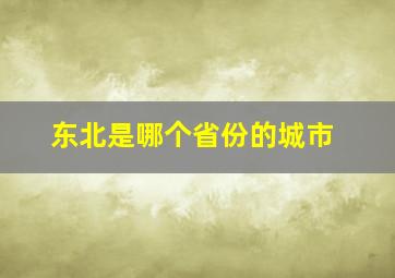 东北是哪个省份的城市