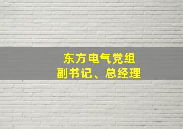 东方电气党组副书记、总经理