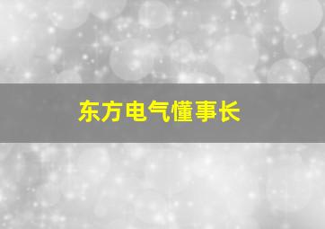 东方电气懂事长