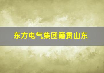 东方电气集团籍贯山东