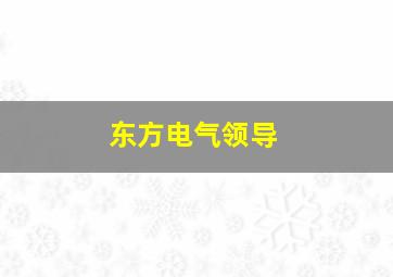 东方电气领导