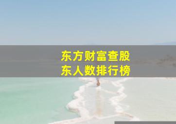 东方财富查股东人数排行榜