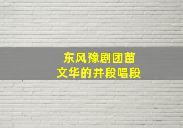 东风豫剧团苗文华的井段唱段