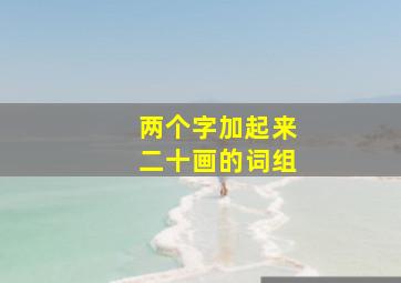 两个字加起来二十画的词组