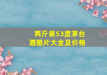 两斤装53度茅台酒图片大全及价格