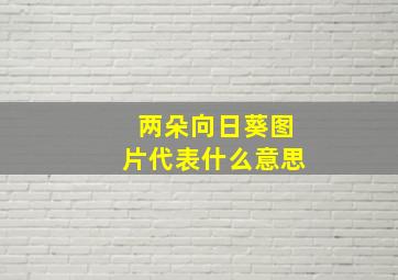 两朵向日葵图片代表什么意思