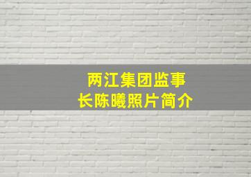 两江集团监事长陈曦照片简介