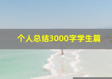 个人总结3000字学生篇