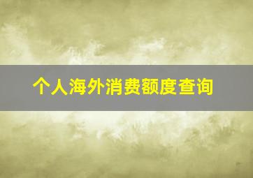 个人海外消费额度查询