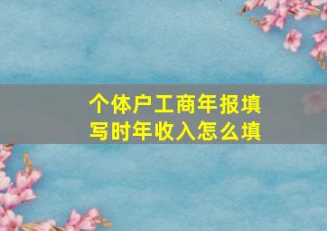 个体户工商年报填写时年收入怎么填