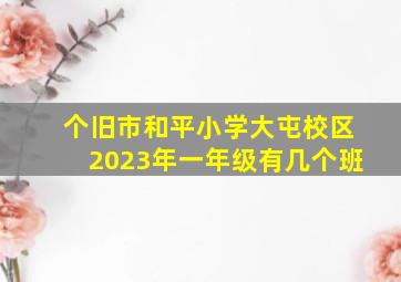 个旧市和平小学大屯校区2023年一年级有几个班