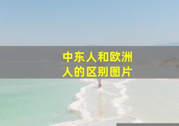 中东人和欧洲人的区别图片