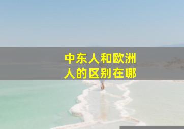 中东人和欧洲人的区别在哪