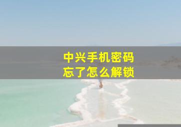 中兴手机密码忘了怎么解锁