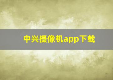 中兴摄像机app下载