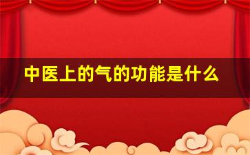 中医上的气的功能是什么