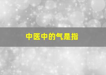 中医中的气是指