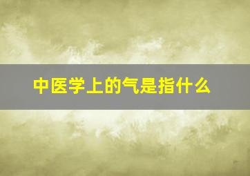 中医学上的气是指什么