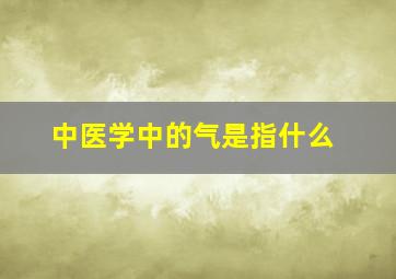 中医学中的气是指什么