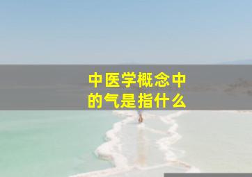 中医学概念中的气是指什么